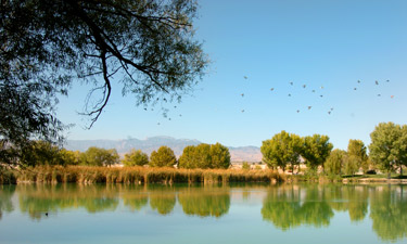 The 680-acre Floyd Lamb Park, pictured here, is a welcome oasis in the desert of northwest Las Vegas.  The 680-acre Floyd Lamb Park, pictured here, is a welcome oasis in the desert of northwest Las Vegas.