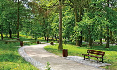 NRPA’s Senior Government Affairs Manager urges members to tell their elected officials about the importance of permanently reauthorizing the Land and Water Conservation Fund. NRPA’s Senior Government Affairs Manager urges members to tell their elected officials about the importance of permanently reauthorizing the Land and Water Conservation Fund.