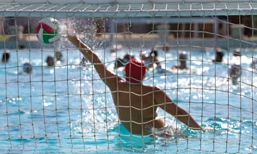 Including water polo as part of your agency's service offerings could be a welcome addition to your members' overall fitness routine and a way to generate more revenue. Including water polo as part of your agency's service offerings could be a welcome addition to your members' overall fitness routine and a way to generate more revenue.