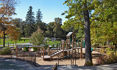 An example of a woodland playground from the New York State Play Areas Guidebook. An example of a woodland playground from the New York State Play Areas Guidebook.
