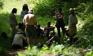 Forest therapy walks allow participants quiet time in nature for reflection, connection and sharing. Forest therapy walks allow participants quiet time in nature for reflection, connection and sharing.