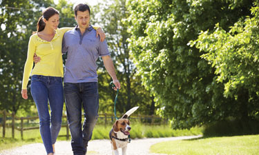 Parks provide health, environment, economic, psychological and social (HEEPS of) benefits. Parks provide health, environment, economic, psychological and social (HEEPS of) benefits.