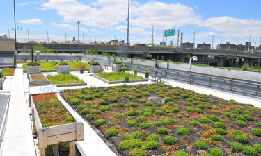 Green roof atop the NYC Parks Department's Five Borough Administrative Building on Randall's Island. Green roof atop the NYC Parks Department's Five Borough Administrative Building on Randall's Island.