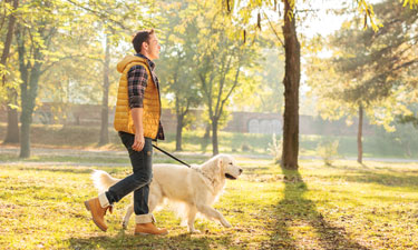 Whether or not they’re battling weight problems, dogs and their owners can enjoy much healthier lifestyles just by taking daily walks together.  Whether or not they’re battling weight problems, dogs and their owners can enjoy much healthier lifestyles just by taking daily walks together.