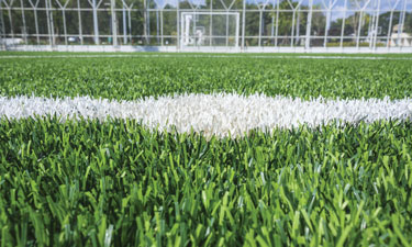 More often than not, an appeals court's reexamination of an environmental impact review is more procedural than substantive. More often than not, an appeals court's reexamination of an environmental impact review is more procedural than substantive.